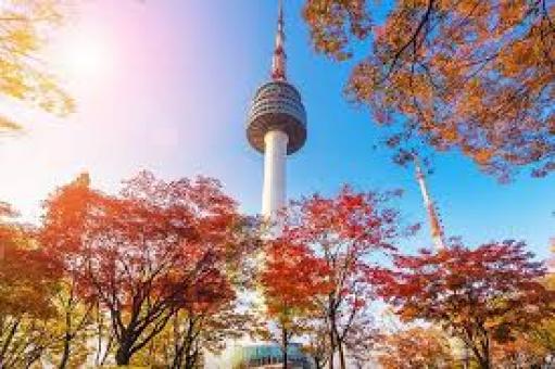 Tháp Namsan – Chơi gì khi đến với biểu tượng Seoul?